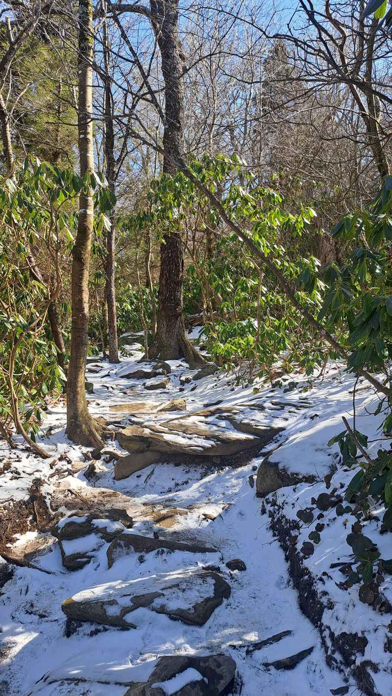 Beacon Heights and Rough Ridge Pull Overs, Blue Ridge Mountains