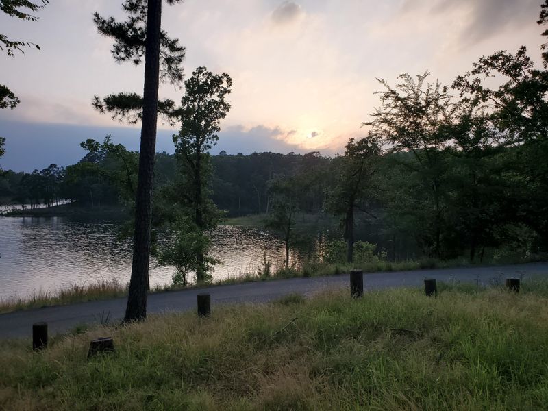 Forest Heritage Center Museum Pause