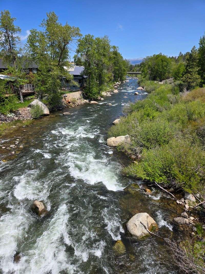 A River Corridor That Sharpens in the Cold