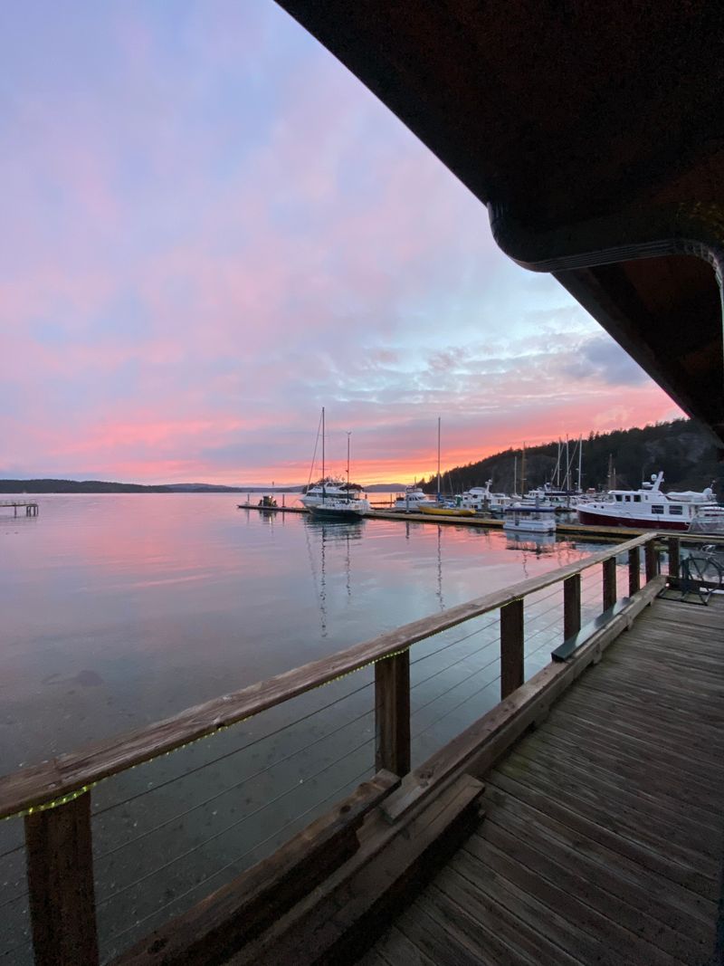 Forest Roads That Force You To Slow Down