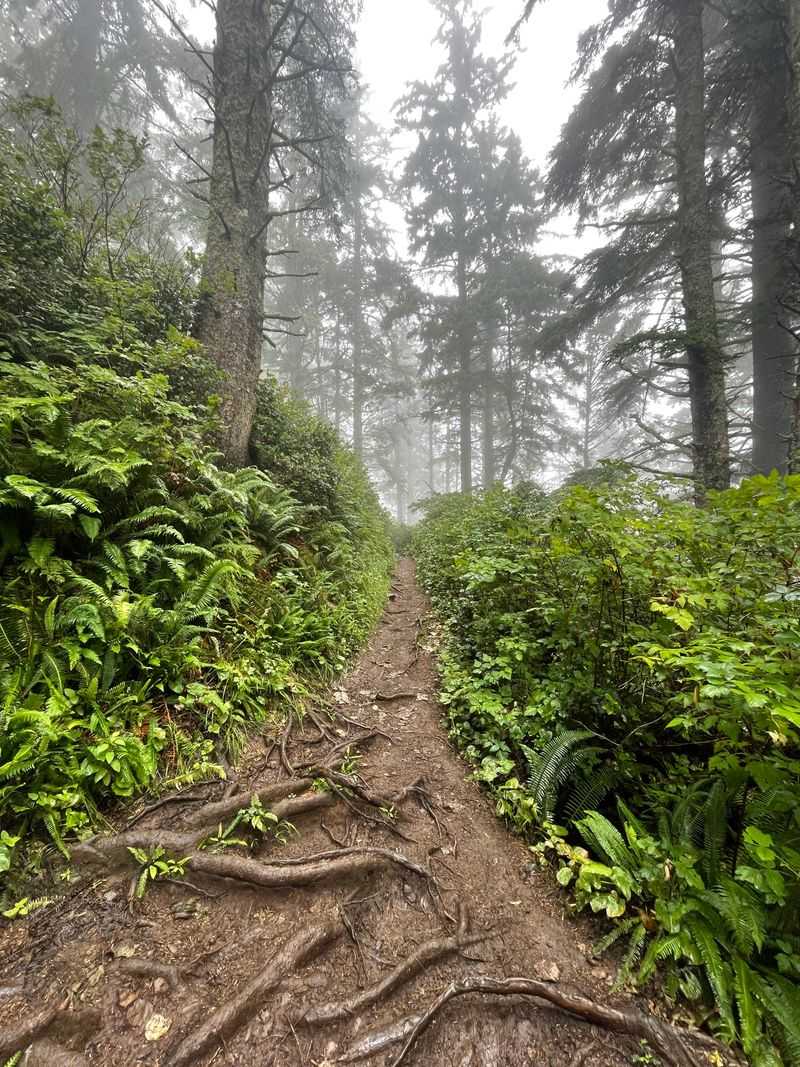 Cape Lookout State Park
