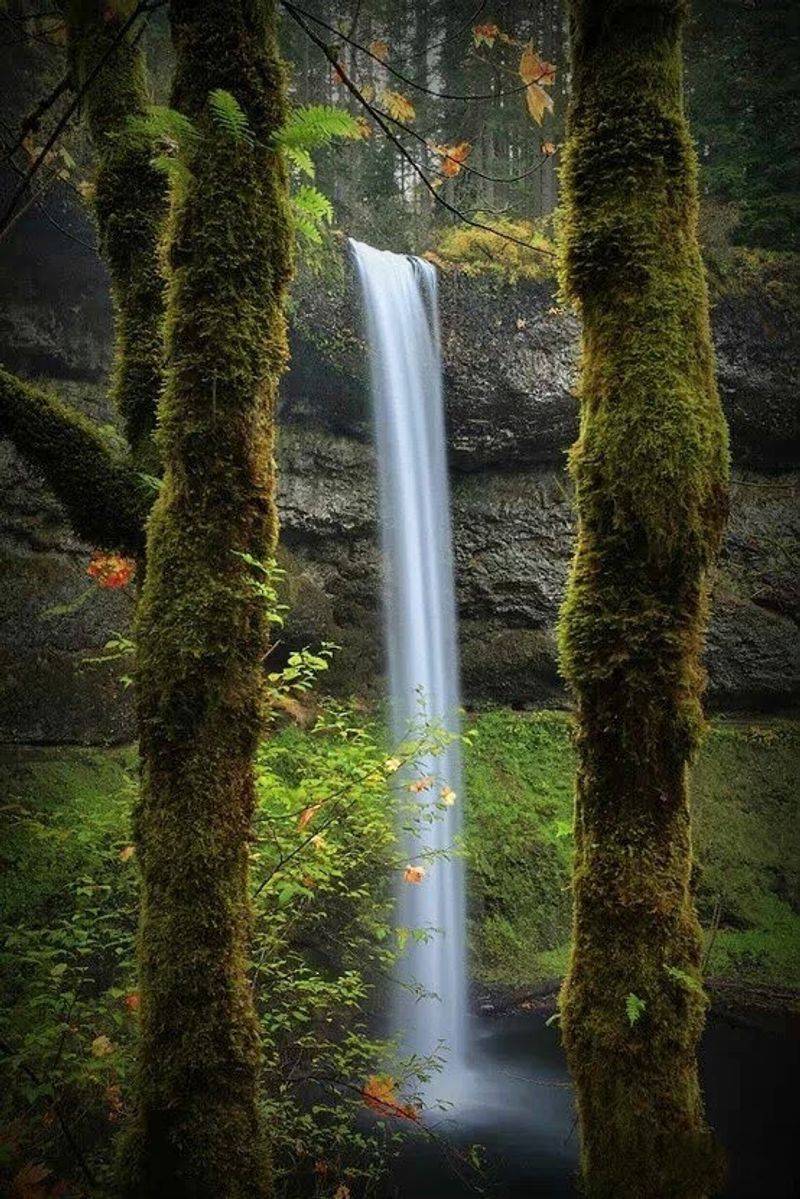 Silver Falls State Park