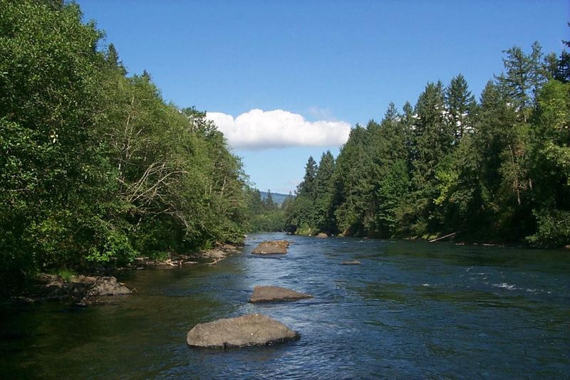 Eugene and McKenzie River Corridor