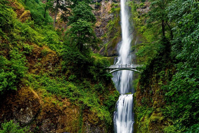 Multnomah Falls Trail