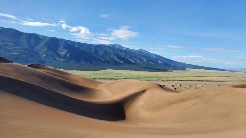 Great Sand Dunes National Park, Mosca