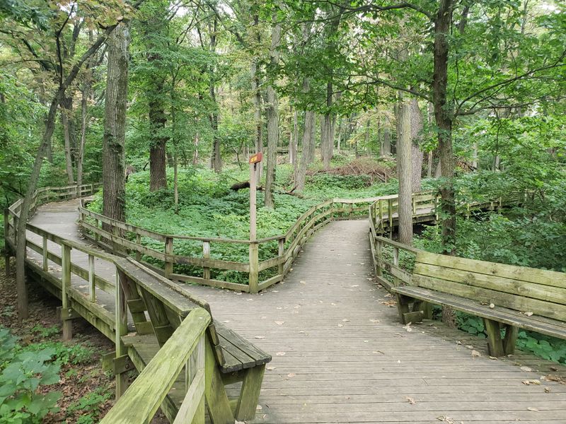 Forgetting Sunscreen for Outdoor Activities