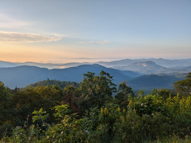 Forests That Keep Their Winter Quiet