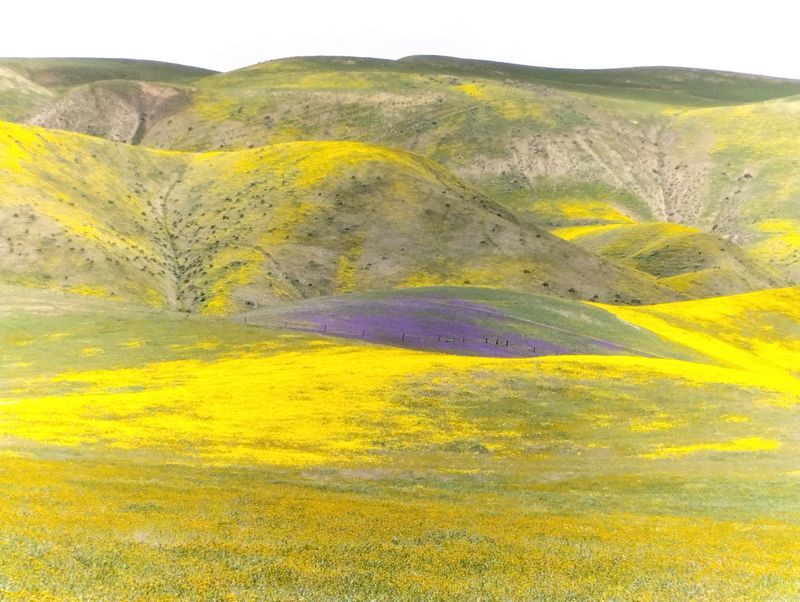 Carrizo Plain