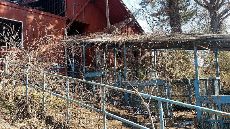 From Trout Farm To Cartoon Theme Park