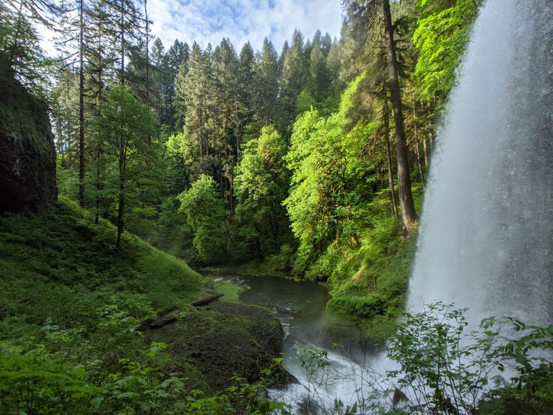 Silver Falls State Park
