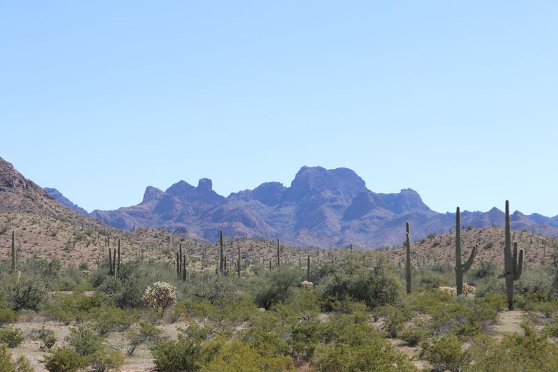 Cabeza Prieta National Wildlife Refuge