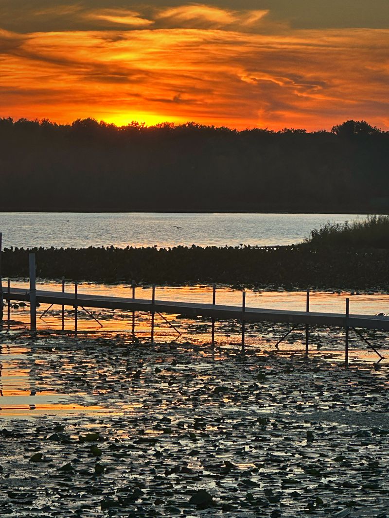 Photography tips, no trespass required