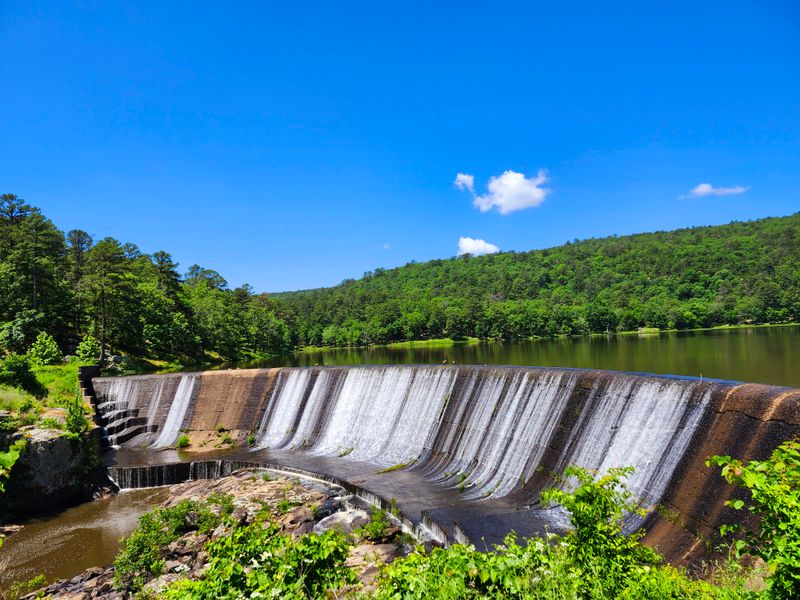 Lake Carlton's Mirror-Like Reflections