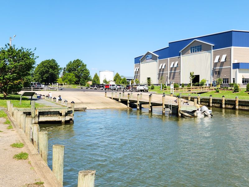 From Dock To Counter In Just Hours