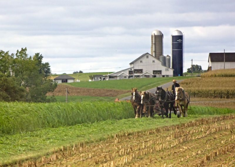 Gordonville Crossroads and Farm Markets