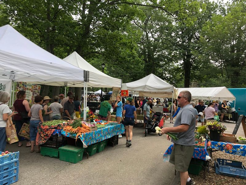 Long Lines That Test Your Patience