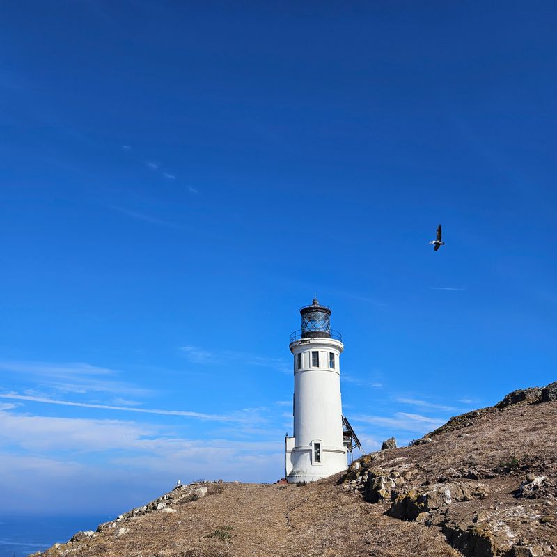 Feeding Wildlife In State And National Parks