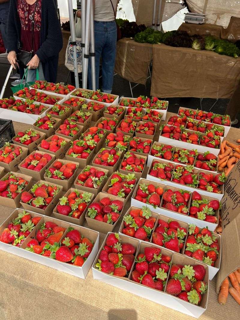 Santa Barbara Certified Farmers Market