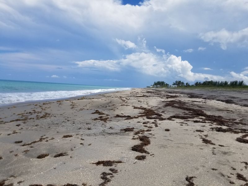 Hobe Sound National Wildlife Refuge