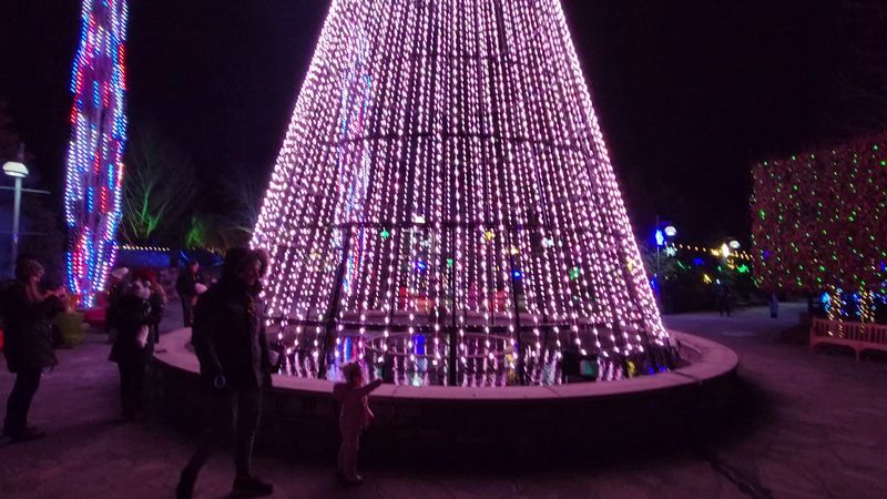 Lights on Main, Georgetown