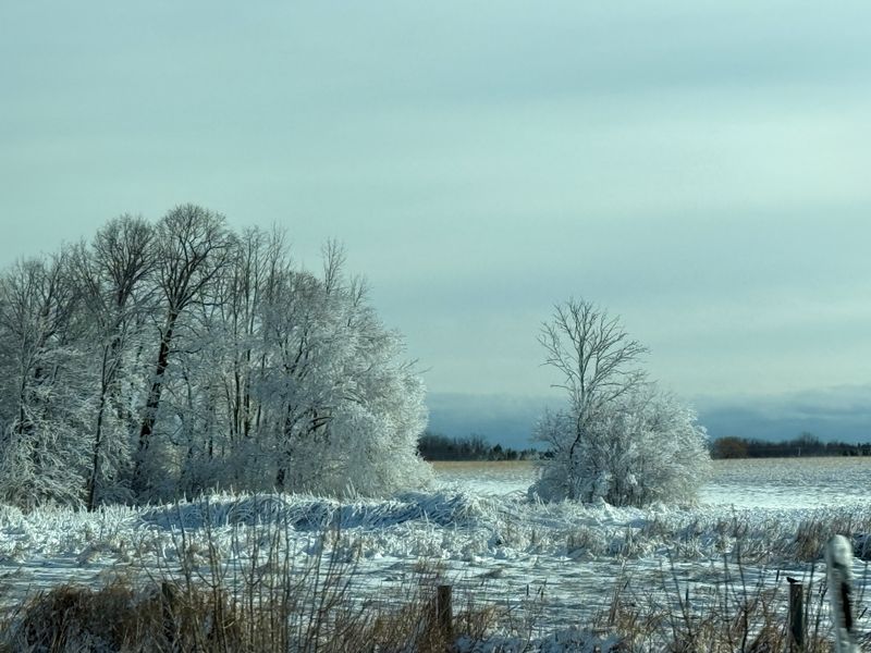 Winter Color Drives Along Highway 42