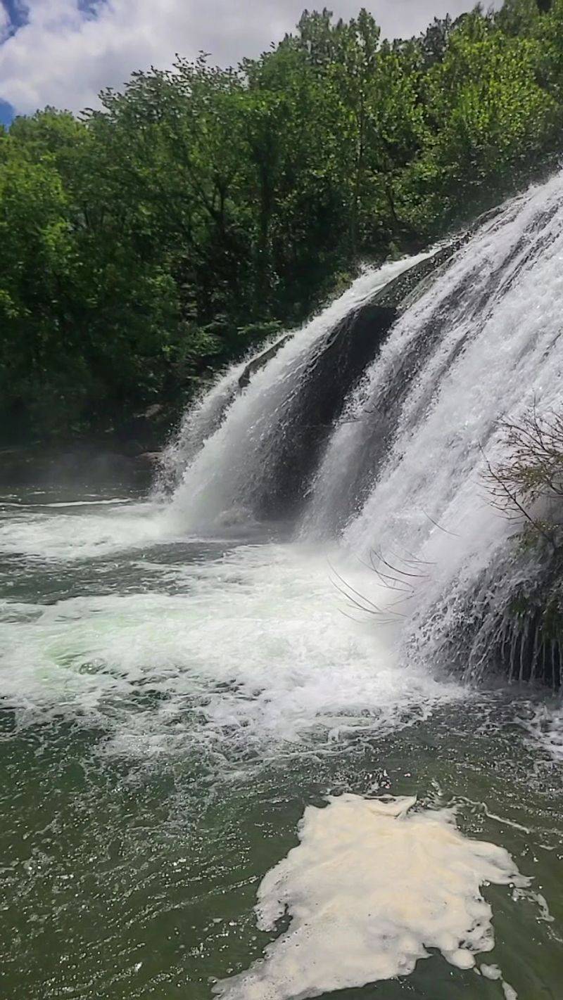 Wildlife and Natural Habitat Diversity