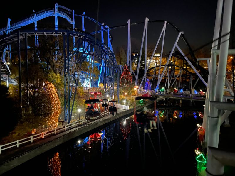 Millions of Sparkling Lights Create an Enchanted Atmosphere