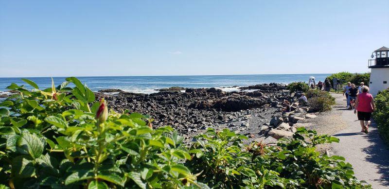 Frozen Vegetation That Adds to the Wonderland Effect