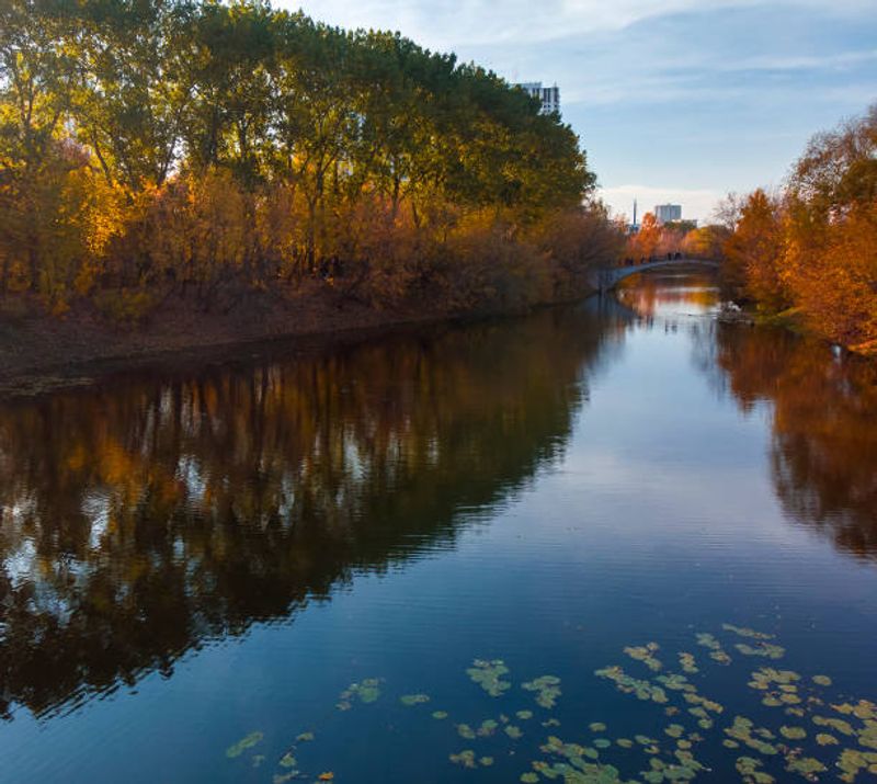 Nature Study and Wildlife Observation