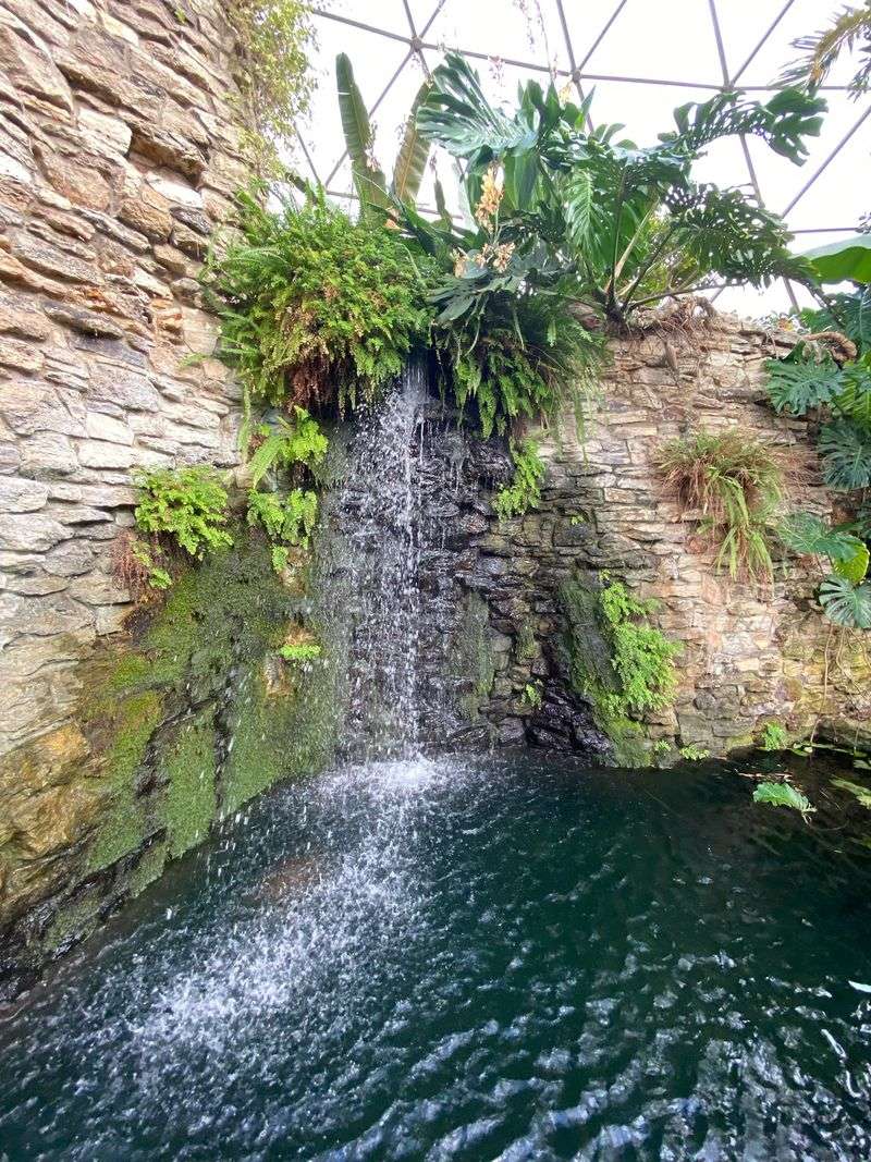 Creating Holiday Traditions in Glowing Gardens