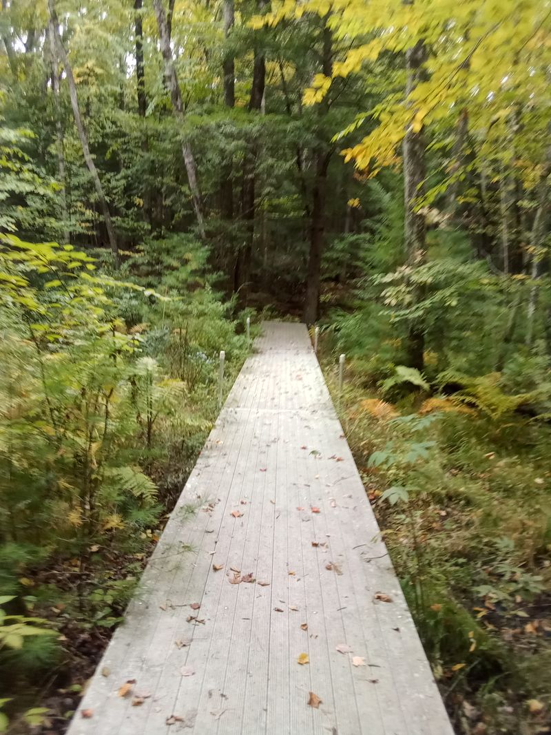 Nearby comforts, trailhead essentials, and confirmed addresses