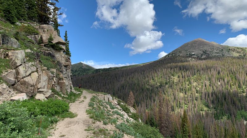 Nearby trails and gentle walks from the town edge