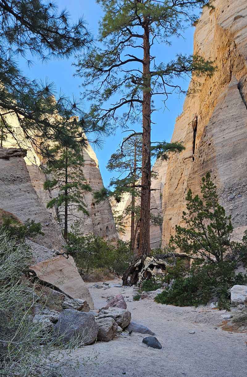 Accessibility notes and options for varied abilities