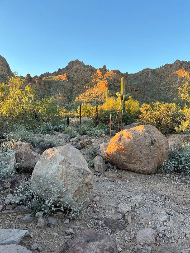 Parking, access notes, and coordinates