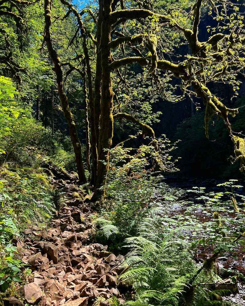 What to pack for comfort and safety