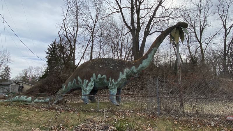 Prehistoric Forest, Dexter