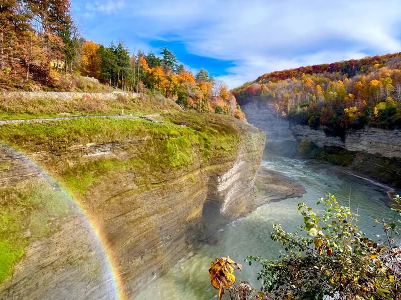 Seasonal Magic and When To Go