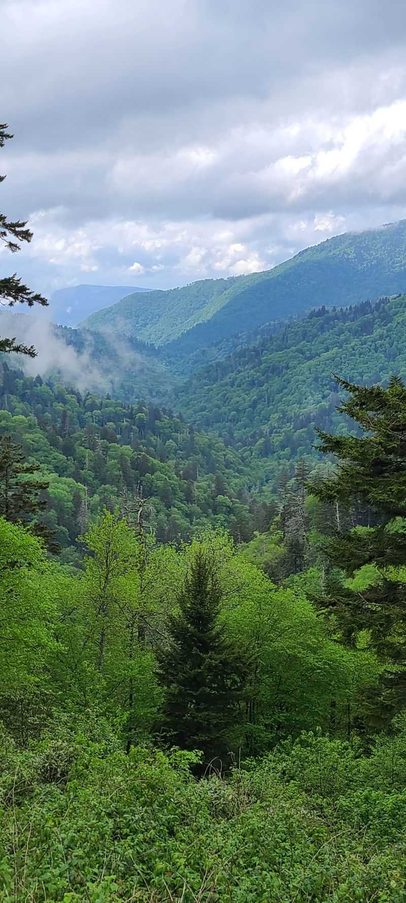 Great Smoky Mountains winter corridor via US 441 to Newfound Gap