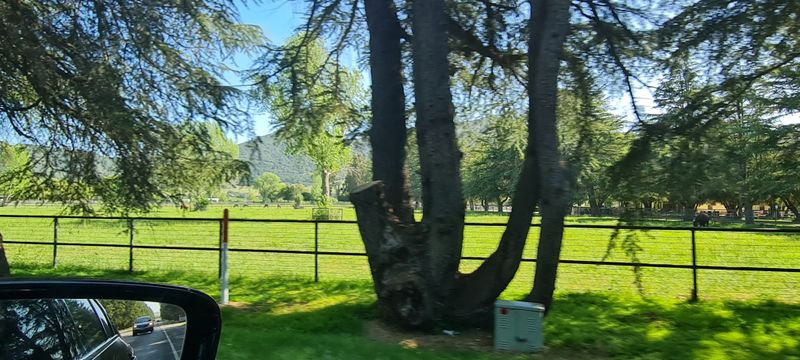 Curiosity Gets Rewarded