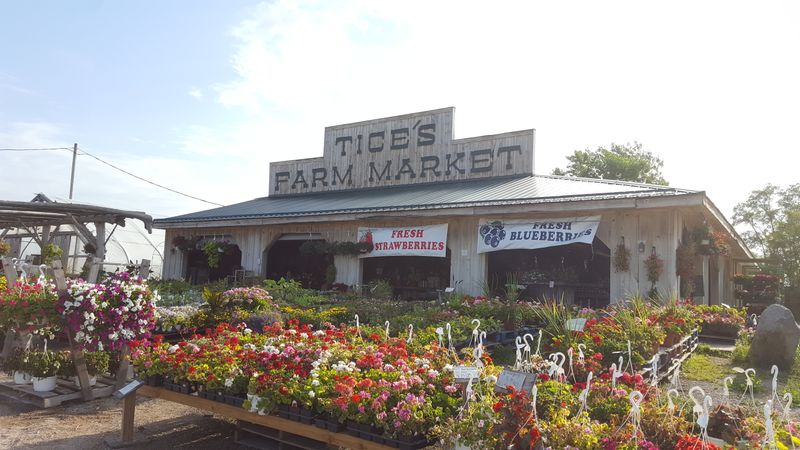 Visit Local Farmers Markets and Roadside Stands