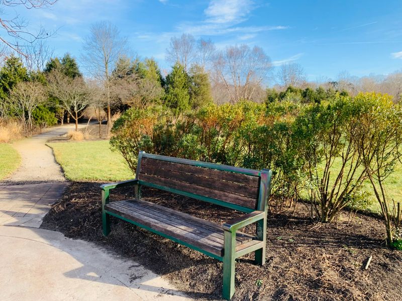 Nearby Nature Trails Offer Winter Hiking Opportunities