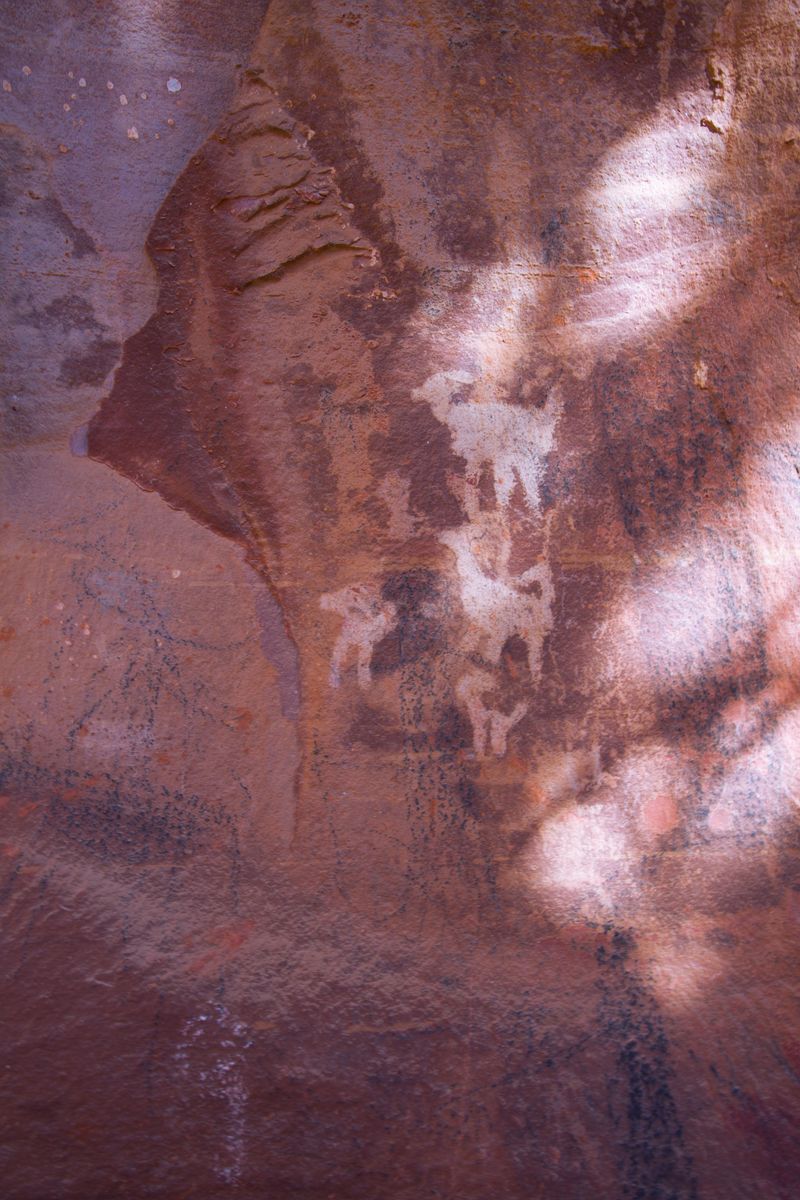 Protecting Petroglyphs And Pottery Shards