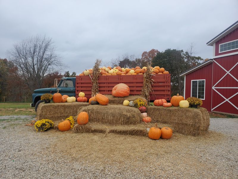 Modern Fall Festivals On Old Fields
