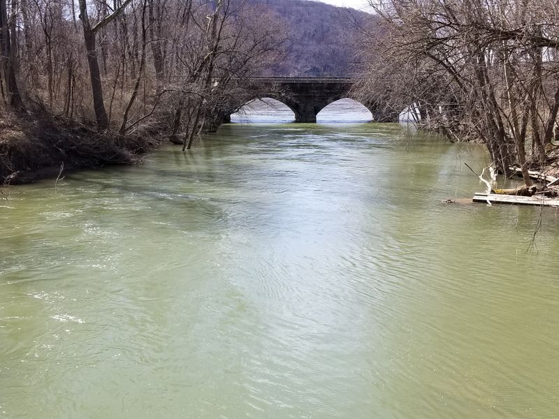 History without crowds