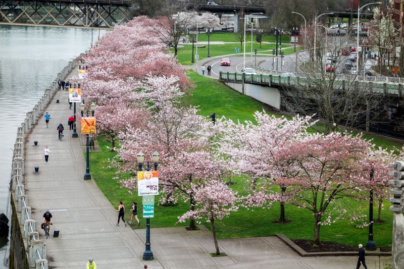 Tom McCall Waterfront Park
