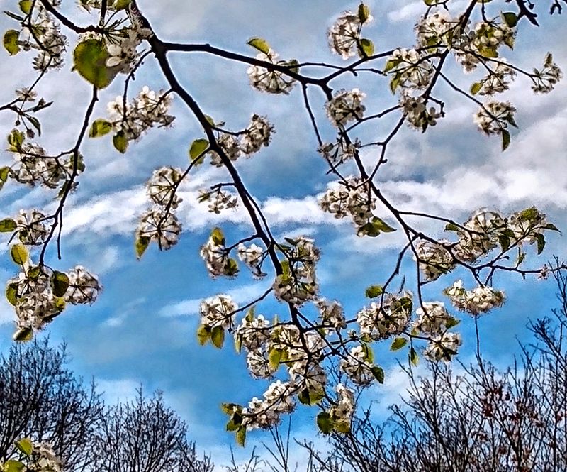 Seeking Genuine Connection on Front Porches along 2nd Street