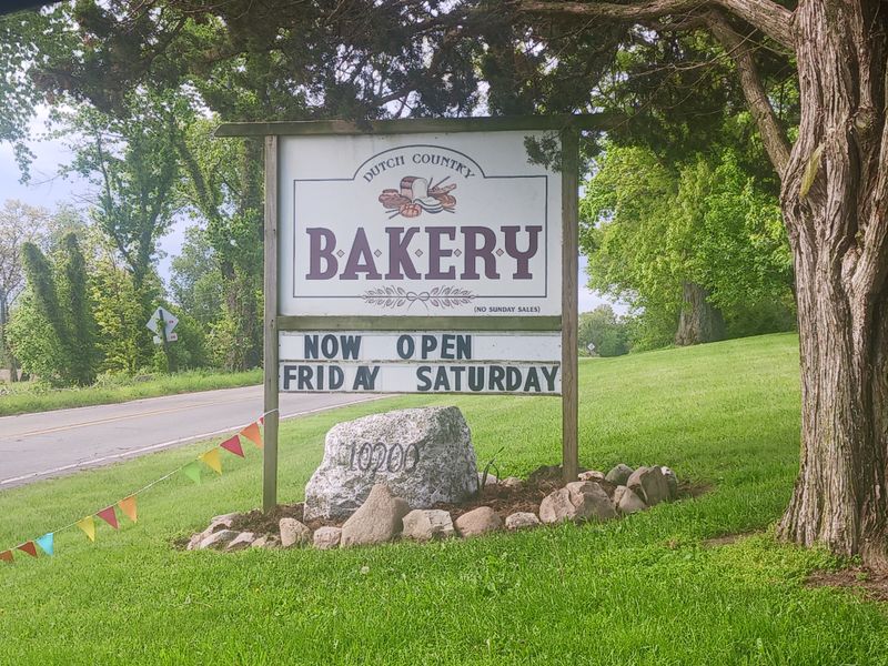 Using Cash-Only Systems to Avoid Technology Dependence