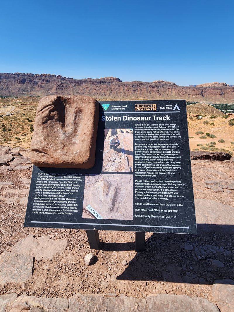 Prehistoric Dinosaur Tracks in the Creekbeds