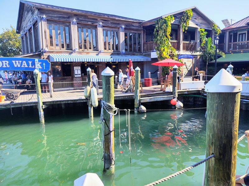 The Tourist Trap Reputation Hurts Community Trust