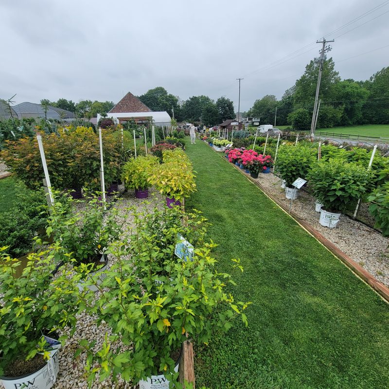 Ephrata Outskirts and Meadow Lines